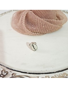 Anillo Sheil | Fusion con Isa 2