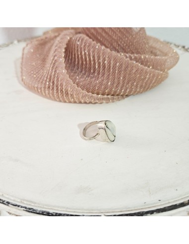 Anillo Sheil | Fusion con Isa